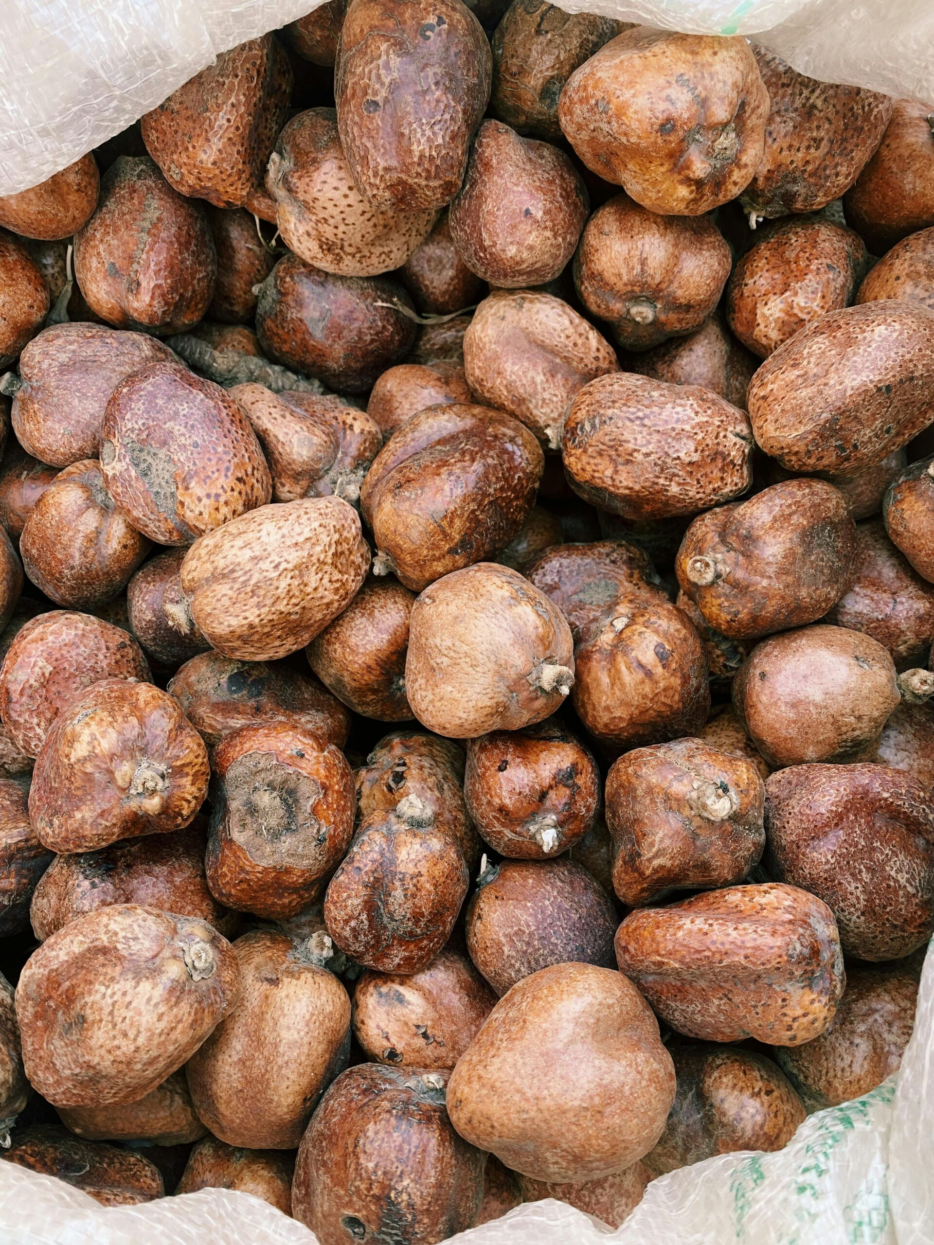 Close-up of African locust bean seeds, showcasing texture and natural color.